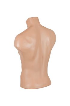Isolated Mannequin or Dummy