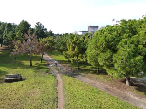 pathways through a park as a background