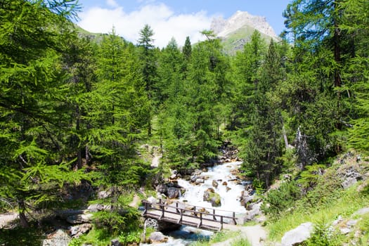 Bardonecchia area, Piemonte Region, Italian Alps. Bridge on the river in Alpine forest.