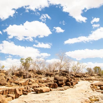 Kenya, Tsavo East National Park. A path in the middle of savanna with a wonderful blue sky
