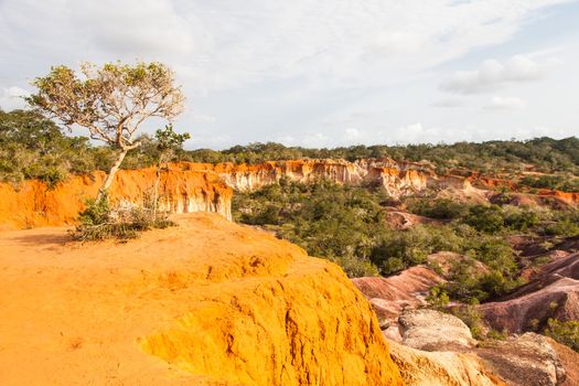Wonderful orange colors at sunset in Marafa Canyon - also said The Hell's Kitchen. Malindi region, Kenya