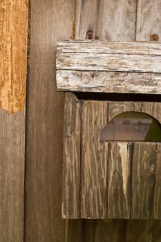 vintage grungy letter box on wooden door