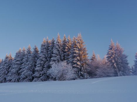 Beautiful winter landscape in the forest outside