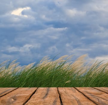 grass and cloudy sky