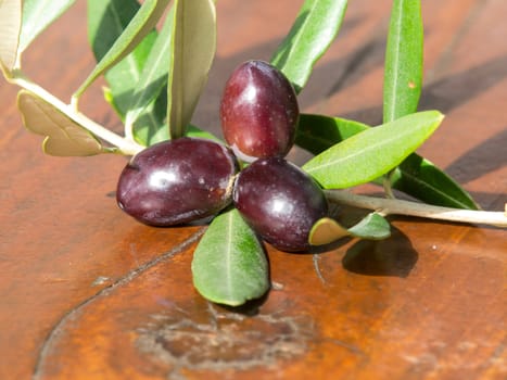 olives on the wooden table