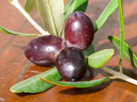 olives on the wooden table