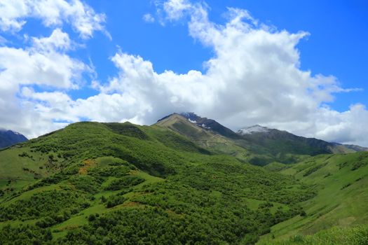 Summer beautiful landscape with Caucasus green mountains
