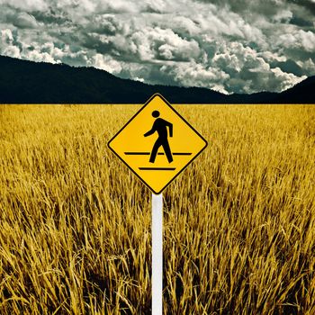 Man cross road sign with dry rice field