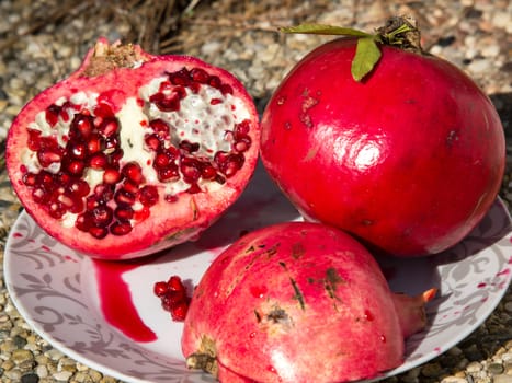pomegranate with seeds on the plate