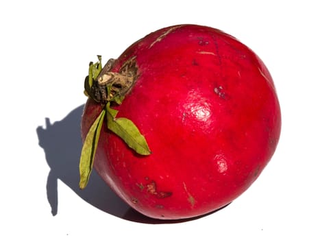 pomegranate on the white background
