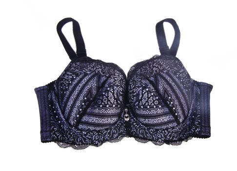 Bra. bra on the white background
