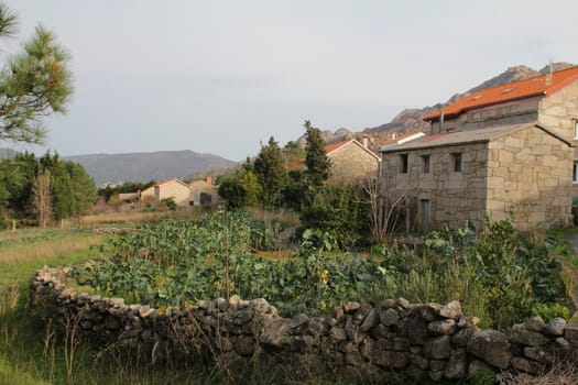 Rural village in Spain, with gardens
