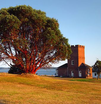 A photograph of an old military building near a waterway.  The large tree in the picture is a Pacific Madrone tree.  The Pacific Madrone (Latin Name: Arbutus menziesii) is a species of tree found on the west coast of North America.  It is known for its distinctive red peeling bark.