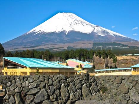 Mt Fuji view from the lake