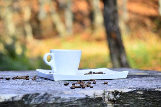 cup of coffee on a wooden table in daylight