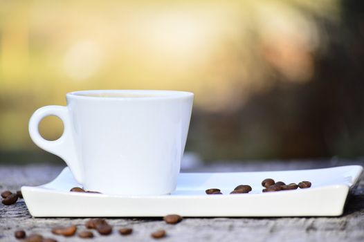 cup of coffee on a plate on a wooden table in daylight