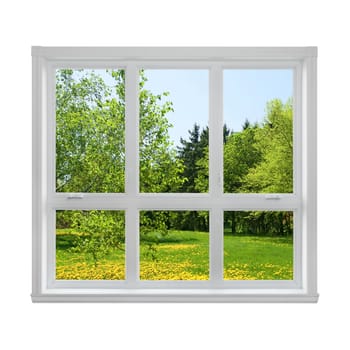 Spring dandelion lawn and green trees seen through the window.