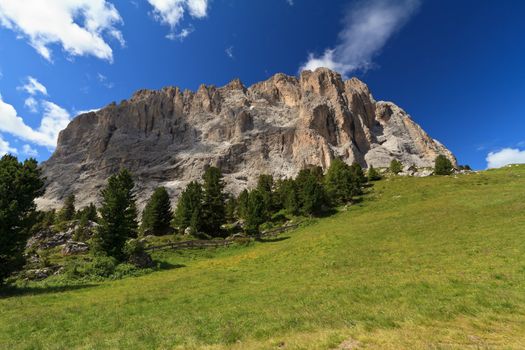 summer view of Langkofel - Sassolungo mountain from Sella pass, Trentino Alto Adige, Italy