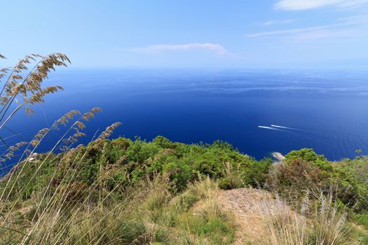 aerial view from Portofino Natural Park, Ligura, Italy