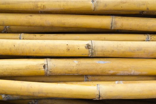 bamboo fence , at Thai fishermen brings to do feeding sea mussel in Chon Buri sea .