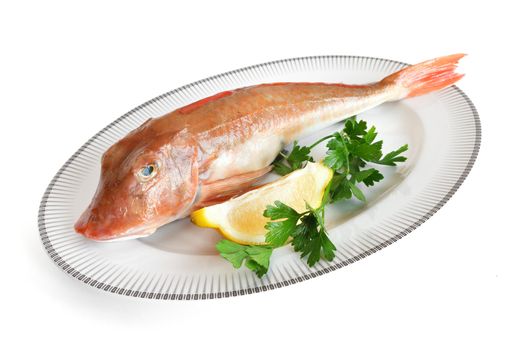 plate with tub gurnard, lemon and parsley isolated with clipping path