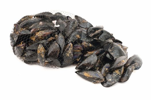 	basket with fresh mussels over white background