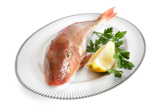 plate with tub gurnard, lemon and parsley isolated with clipping path
