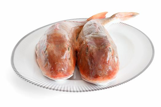 plate with two tub gurnard isolated on white with clipping path