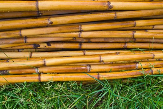 bamboo fence after rain at chonburi thailand