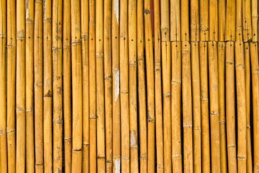 bamboo fence , at Thai