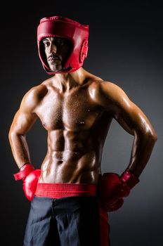 Muscular boxer in dark studio