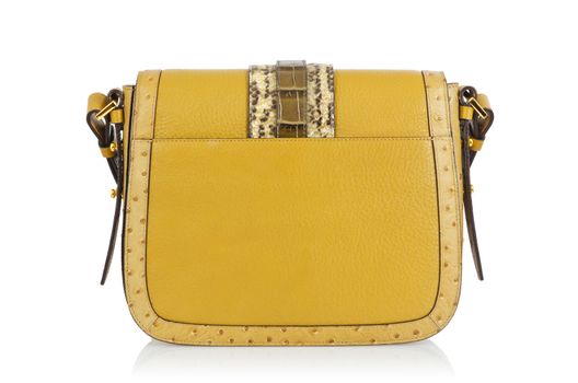 Nice elegant woman bag isolated on the white