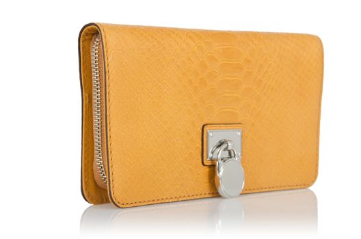 Nice elegant woman bag isolated on the white