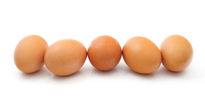 Eggs on white background