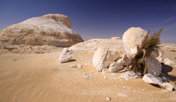 Limestone hills in White desert and date tree