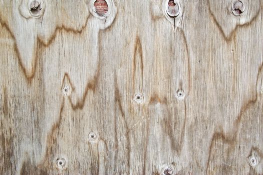 texture of wood pattern background