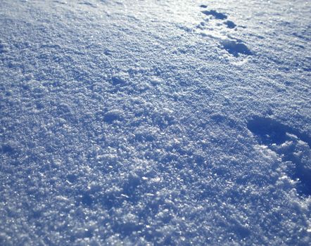 Abstract background of white snow, shiny snowflake