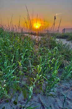 sunrise at myrtle beach