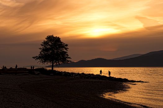 People walking along the beach with gold sky and a lone tree with mountains in the background.