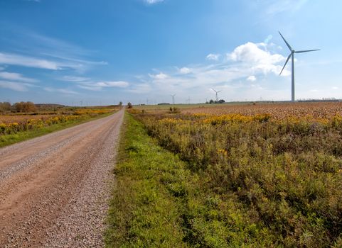 Photo shows a long road on the left and wind turbines on the right symbolizing the long road to sustainable energy.