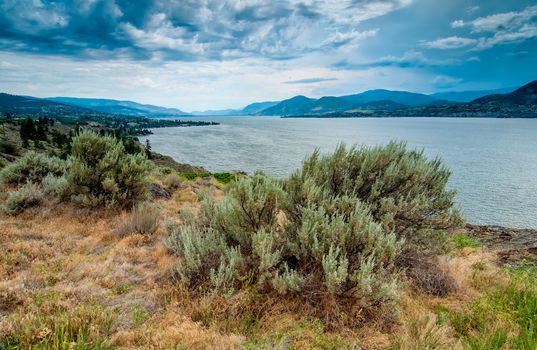 Taken from the bluffs along side Okanagan lake.  The town of Naramata is on the left shore.  The Okanagan region has some unique plants due to its dry desert climate.