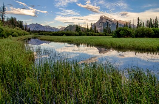 Marsh grass surrounding a perfect reflection of the rocky mountains in Vermilion lakes.