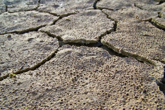 dry earth texture at thailand