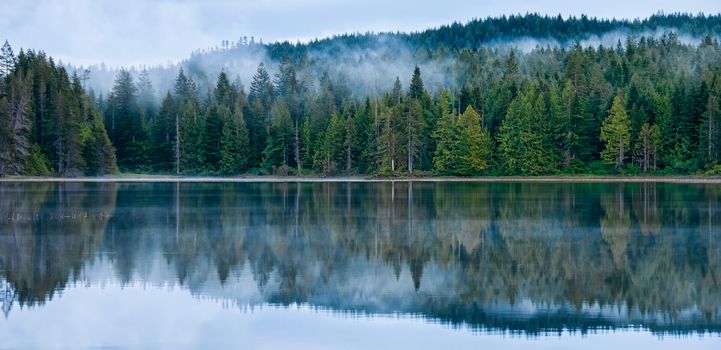 Perfect reflection of misty forest in still calming lake