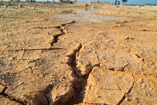 dry earth texture at thailand