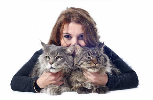 portrait of a purebred  maine coon cats and woman on a white background