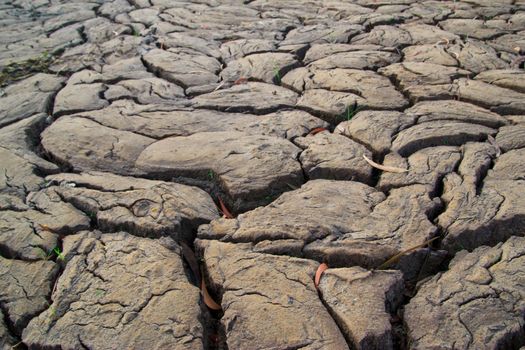 dry earth texture at thailand