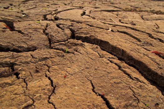 dry earth texture at thailand