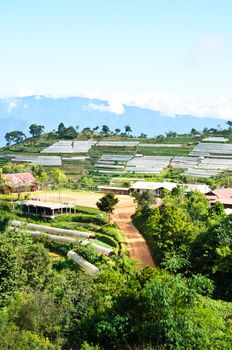 The Gravel road to terraced plant on Mountain, Chiang Mai, Thailand