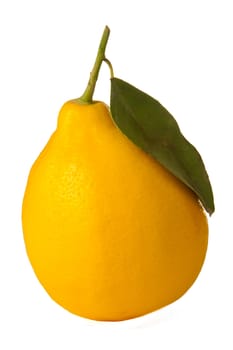 lemon with the stem and leaf on white background